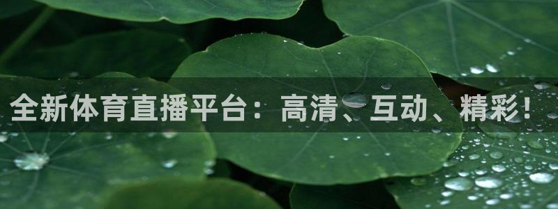 全新体育直播平台：高清、互动、精彩！
