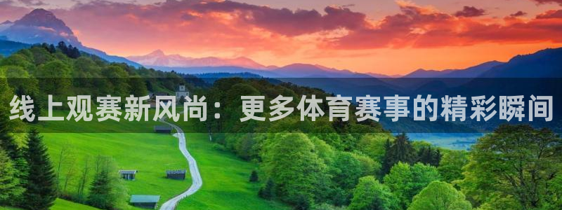 线上观赛新风尚：更多体育赛事的精彩瞬间